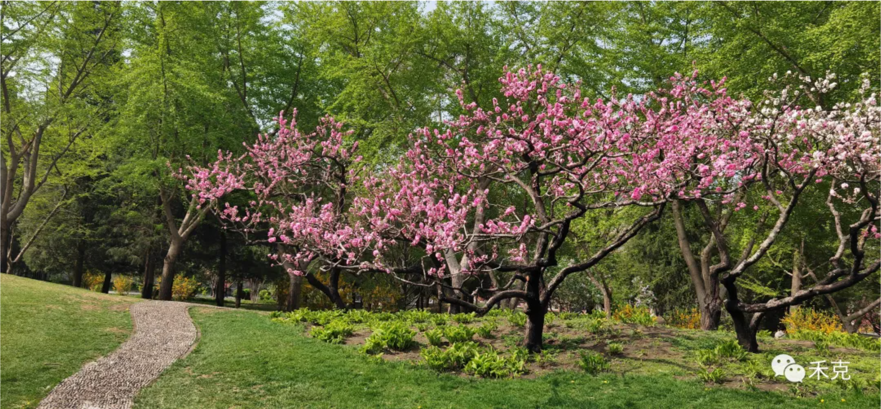 image-20250715081513831
